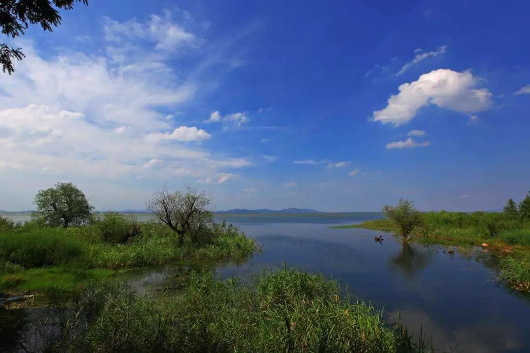 吴江荣获“2017同程旅游十大口碑好评旅游目的地”