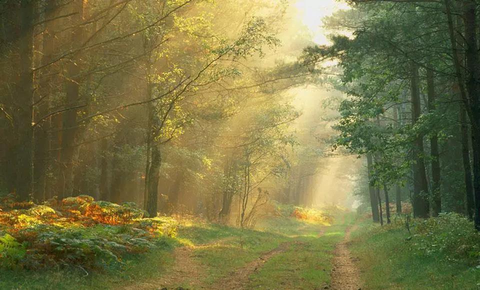 吴江荣获“2017同程旅游十大口碑好评旅游目的地”