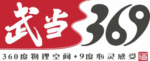 有一种freestyle,叫做武当范儿