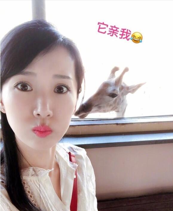 阔太李念遭长颈鹿偷亲呆萌可爱