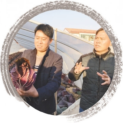 河南虞城:过去打工热 今现“城归”潮