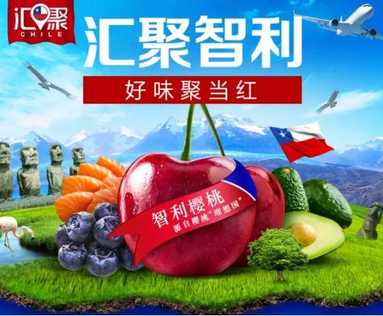 智利樱桃聚当红 天猫聚划算海外直送圣诞美味
