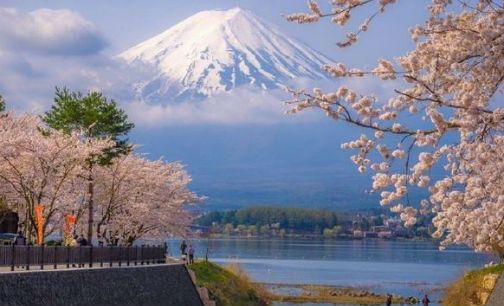 日本拟提前向入境游客开征“观光税”