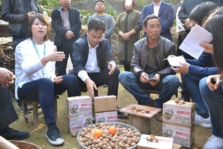 2017扶贫行动硕果累累 苏宁首创“电商扶贫实训店”模式