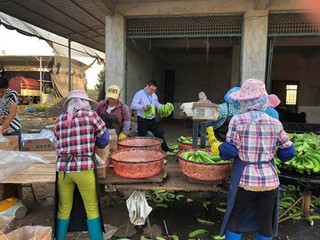 2017扶贫行动硕果累累 苏宁首创“电商扶贫实训店”模式