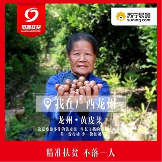 电商扶贫进入精准造血时代 苏宁2018年发力百个贫困县