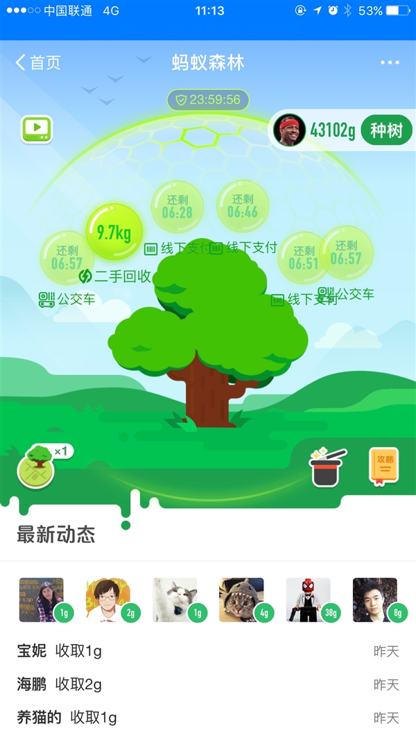 闲鱼信用速卖接入蚂蚁森林：卖一台旧电视能获9.7千克能量