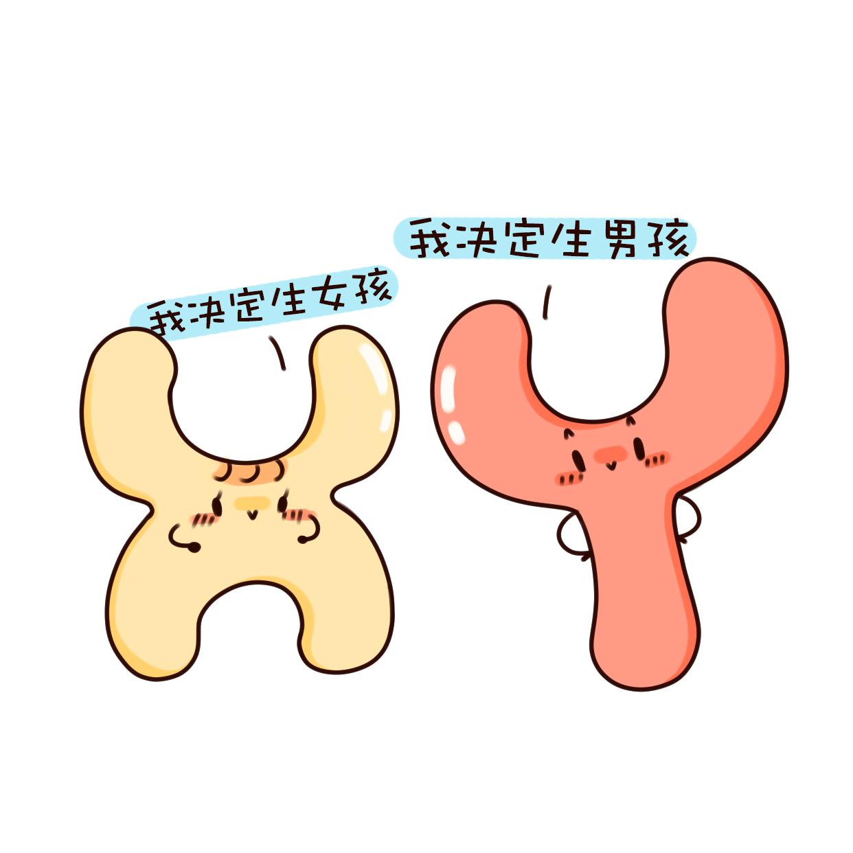 計算 方法 日 排卵