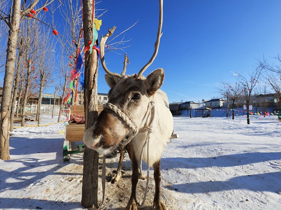 推进冰雪游一体化&nbsp;北京密云等区携承德建冰雪旅游圈