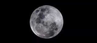 腾讯音乐人X草莓音乐节&nbsp;约你开启新年探险之旅