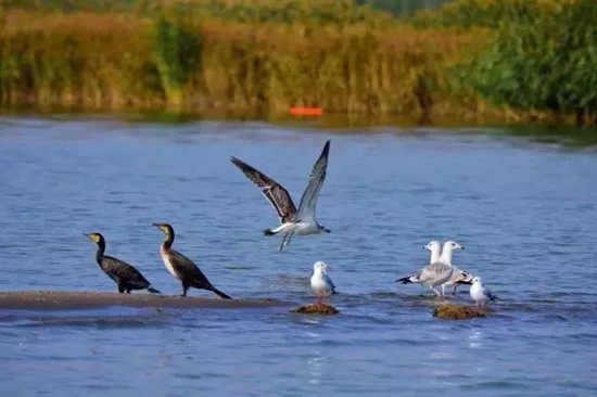 石嘴山市发布《促进旅游业发展奖励办法（试行）》