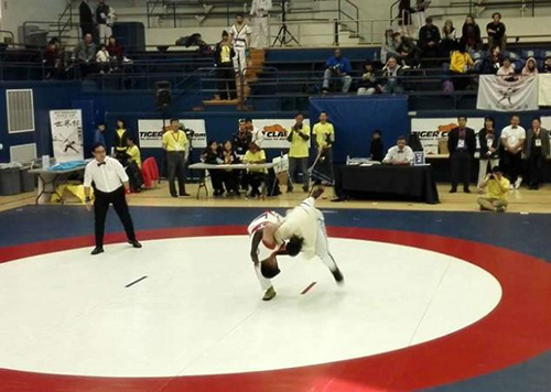 宋兆年:中国式摔跤世界杯弘扬中华民族优秀传统文化