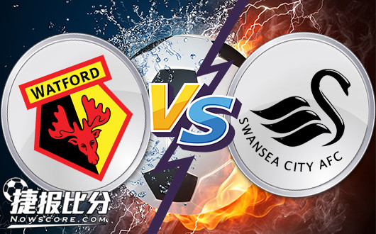 沃特福德vs斯旺西&nbsp;天鹅湖化身龙潭虎穴