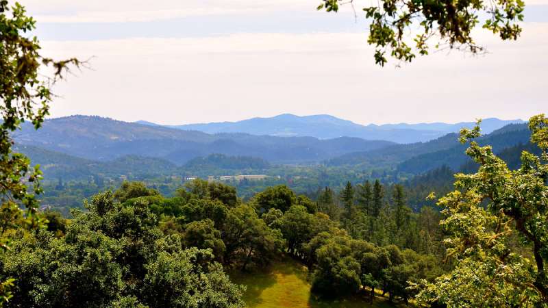 [探索纳帕子]探索纳帕子产区