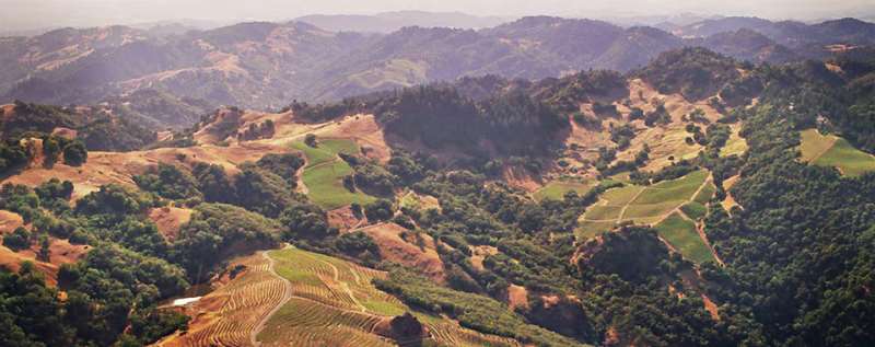 [探索纳帕子]探索纳帕子产区