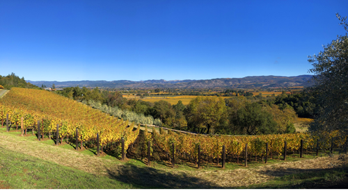 [探索纳帕子]探索纳帕子产区