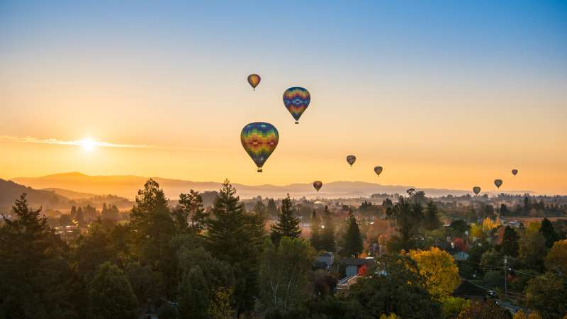 [探索纳帕子]探索纳帕子产区