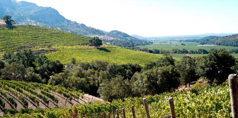 [探索纳帕子]探索纳帕子产区