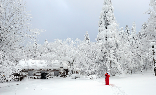 我国冰雪旅游收入5年内可达6700亿元
