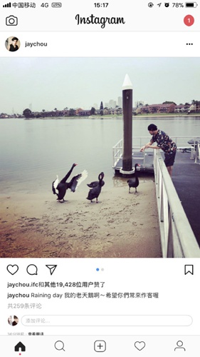 周杰伦喂天鹅&nbsp;享受悠闲生活！