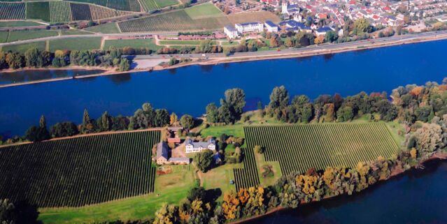 「红酒世界」红酒世界直播预告：德国百年名庄莱茵豪森城堡