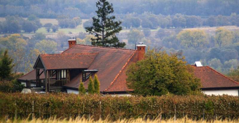 【新年新气象】新年新气象，细数2018年十大葡萄酒趋势