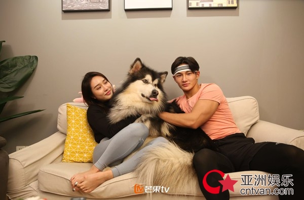 芒果TV《嗨！看电视》将上线&nbsp;真人弹幕吐槽逗你笑