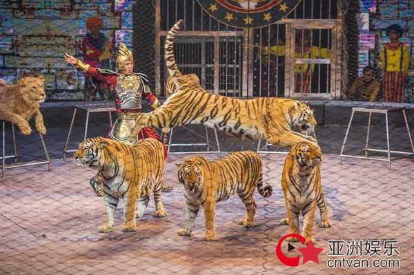 新春版朝阳公园大马戏来袭 动物明星轮番上阵展示绝活