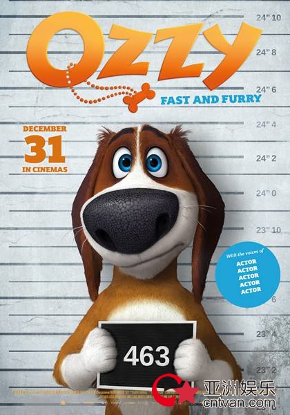 高口碑佳作《狗狗的疯狂假期》确定引进 2018寒假必看动画暖心来袭