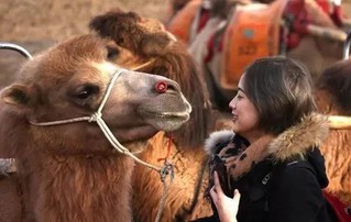 2018让我们邂逅宁夏沙坡头