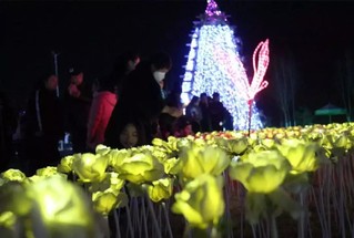 宁夏冬季旅游升温 元旦假期共接待游客83.82万人次