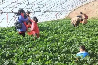 宁夏冬季旅游升温 元旦假期共接待游客83.82万人次