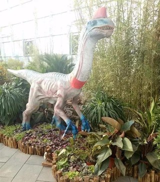 宁夏冬季旅游升温 元旦假期共接待游客83.82万人次