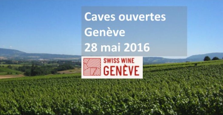 关于瑞士葡萄酒的17个事实