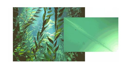 美即鲜注膜力,首创“膜液分离，现用鲜注”面膜