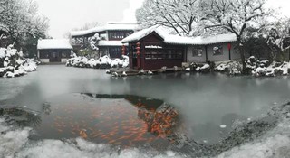同里美丽的雪景惊艳四方