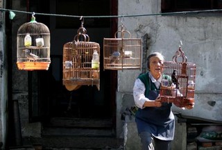 2018美丽吴江等你来