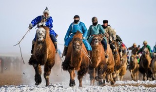 “马背上的歌声”锡林浩特市冬季那达慕开幕