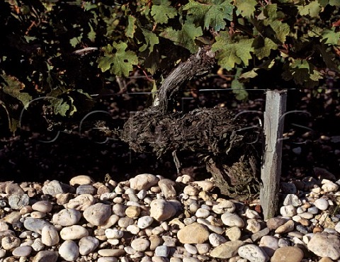 「产区」这些产区，它们的土壤很特别