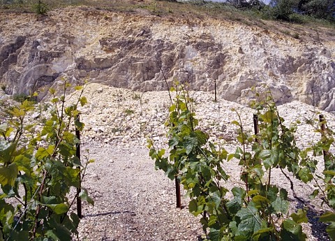 「产区」这些产区，它们的土壤很特别