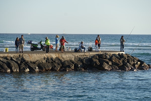 索尼APS-C画幅新镜头E&nbsp;18-135mm&nbsp;F3.5-5.6&nbsp;OSS样张欣赏