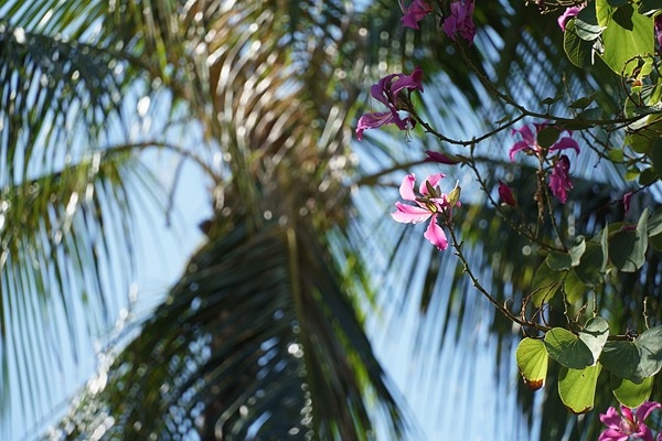 索尼APS-C画幅新镜头E&nbsp;18-135mm&nbsp;F3.5-5.6&nbsp;OSS样张欣赏