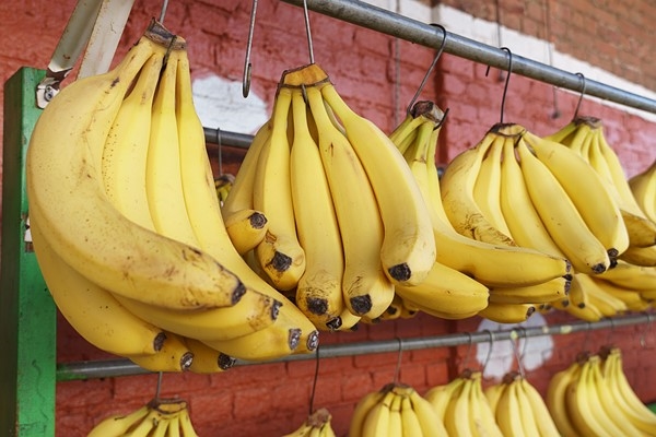 索尼APS-C画幅新镜头E&nbsp;18-135mm&nbsp;F3.5-5.6&nbsp;OSS样张欣赏