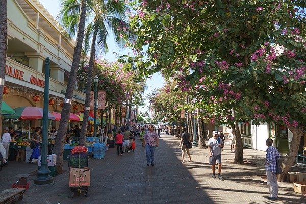 索尼APS-C画幅新镜头E&nbsp;18-135mm&nbsp;F3.5-5.6&nbsp;OSS样张欣赏