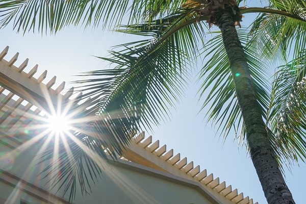 索尼APS-C画幅新镜头E&nbsp;18-135mm&nbsp;F3.5-5.6&nbsp;OSS样张欣赏