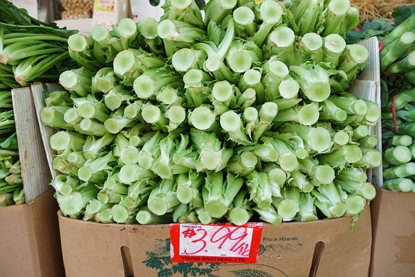 索尼APS-C画幅新镜头E&nbsp;18-135mm&nbsp;F3.5-5.6&nbsp;OSS样张欣赏