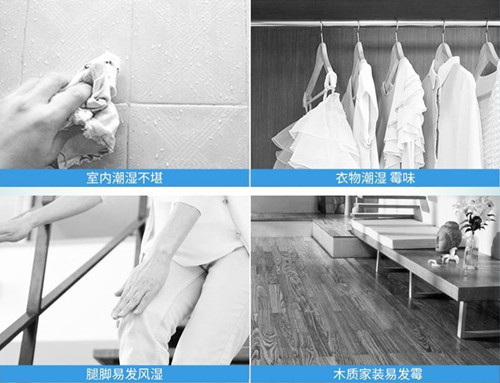 去湿去潮，一个除湿袋就够啦