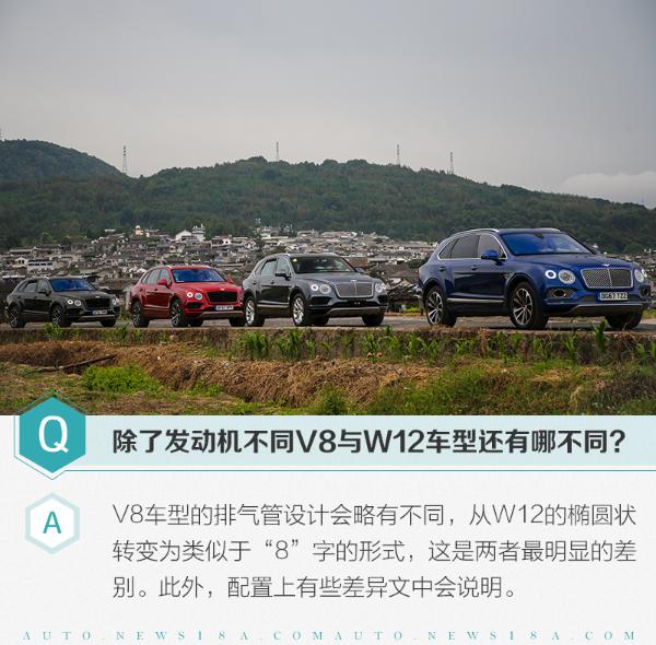 开宾利跋山涉水是怎么样的感觉 试驾宾利添越V8