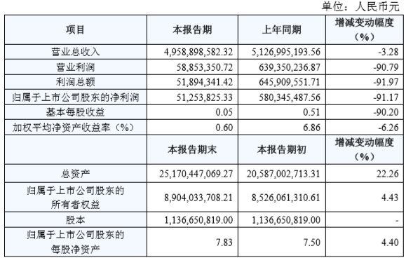 国轩高科公布2019年年报：净利润仅5125万元