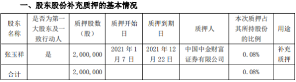 南极电商控股股东张玉祥质押200万股 用于补充质押